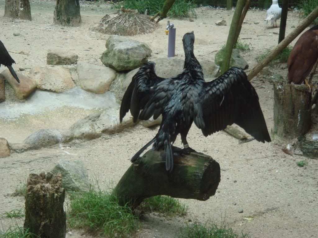 Photo Sharing and Video Hosting at Photobucket