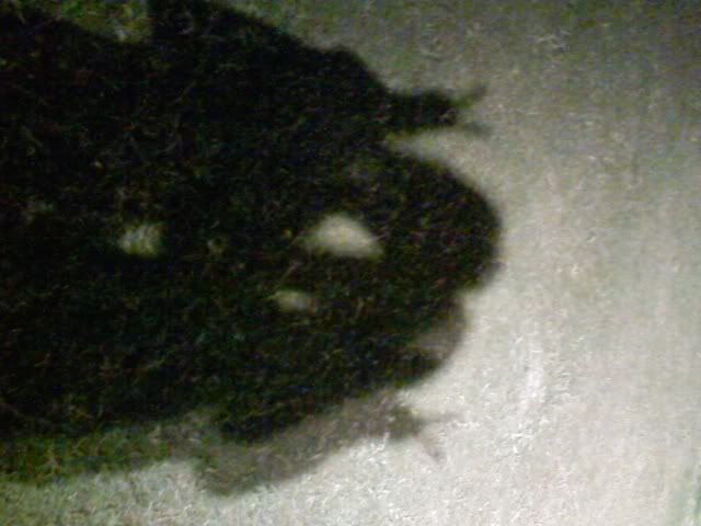 Photo Sharing and Video Hosting at Photobucket