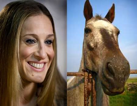サラ ジェシカ パーカーは馬にソックリ ハリウッド セレブ ニュース