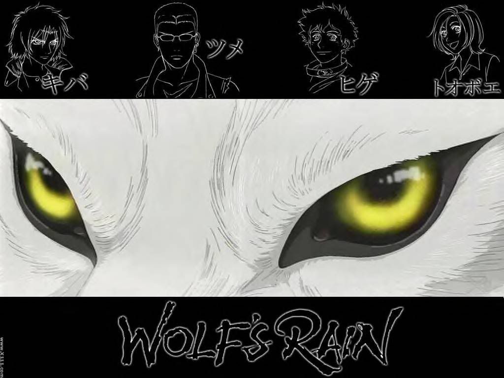 wolfs rain Pictures, Images and Photos