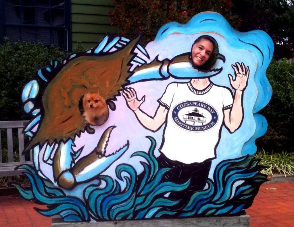 Anne and Teddy are Crabs