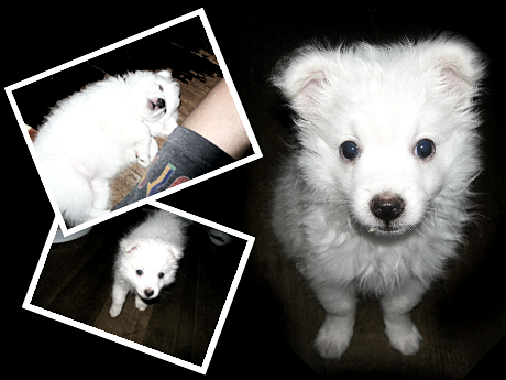 Photobucket - Video and Image Hosting