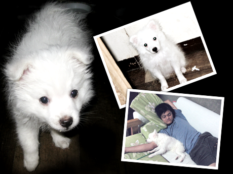 Photobucket - Video and Image Hosting