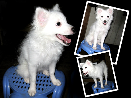 Photobucket - Video and Image Hosting