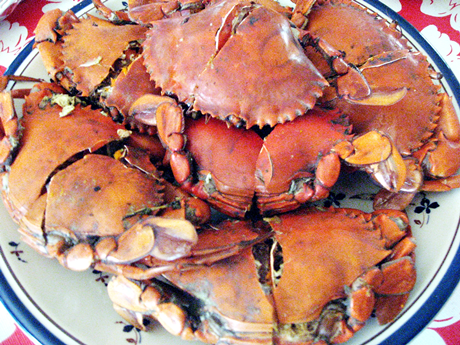 Photobucket - Video and Image Hosting