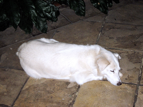 Photobucket - Video and Image Hosting