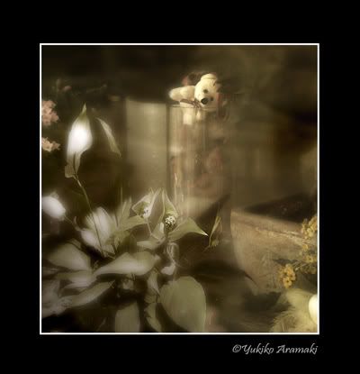 Teddy Bears in flower shop window