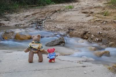 The road was washed away! Two teddy bears were stranded!