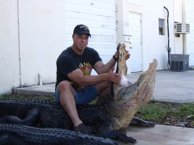 Gator1.jpg
