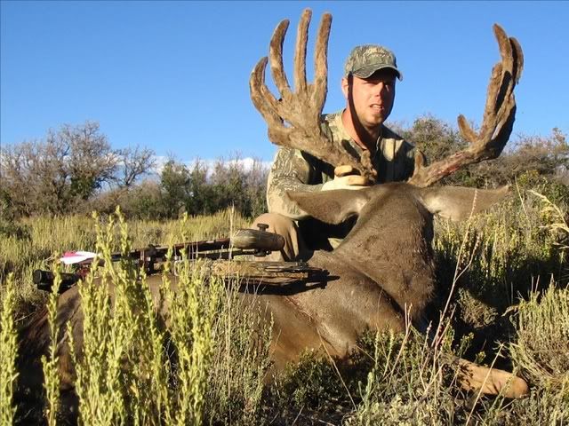 muley1.jpg