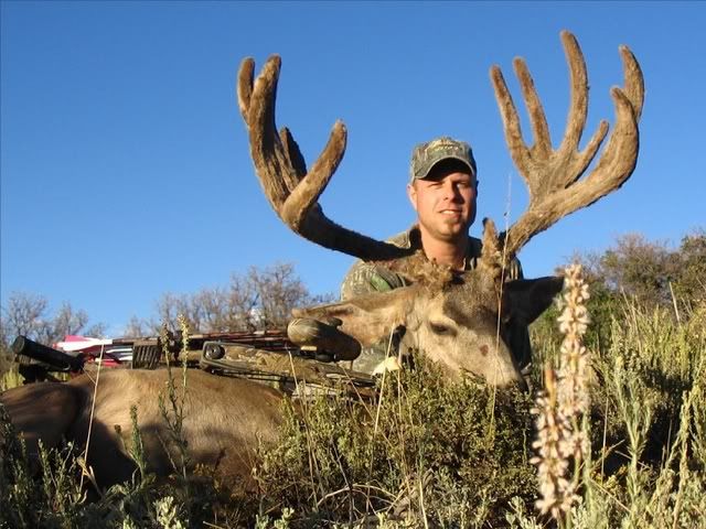muley2.jpg
