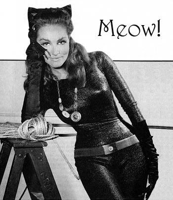 My blog: sean young catwoman