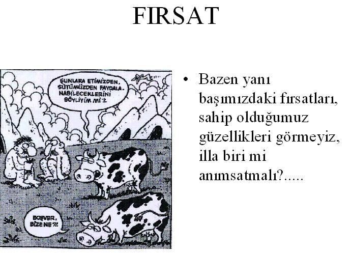 frsat9ec.jpg