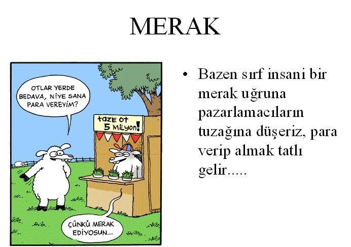 merak9ol.jpg