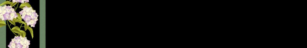 lozocat