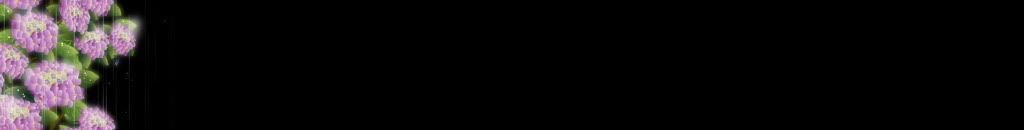 lozocat