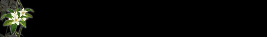 lozocat