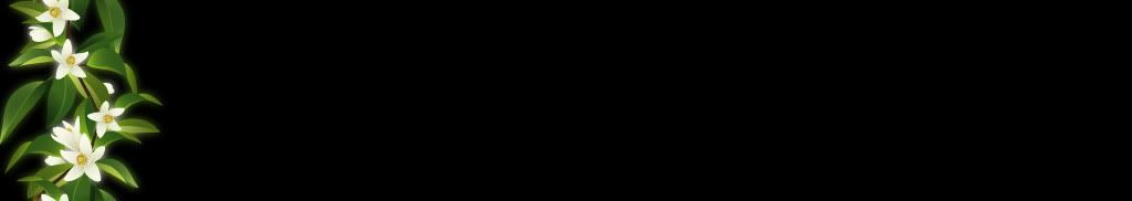lozocat