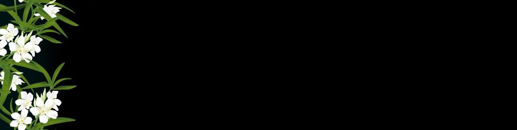 lozocat