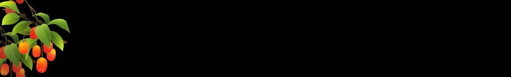 lozocat