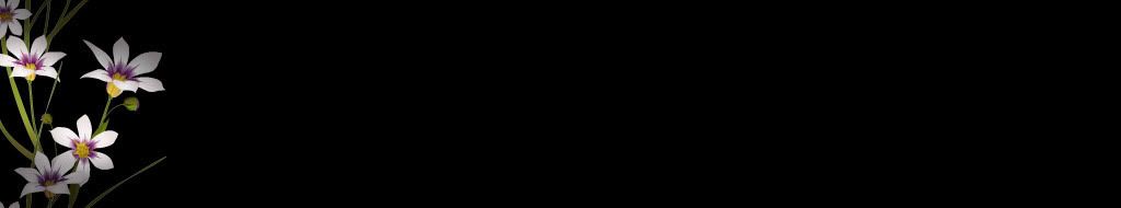 lozocat