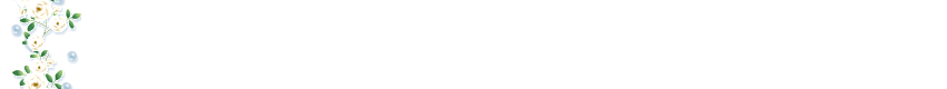lozocat