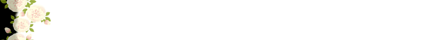 lozocat