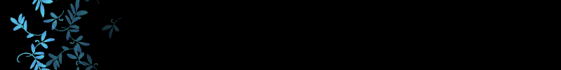 lozocat