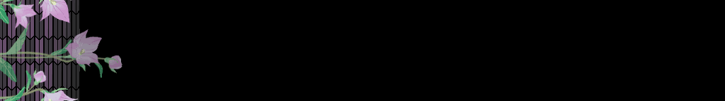 lozocat