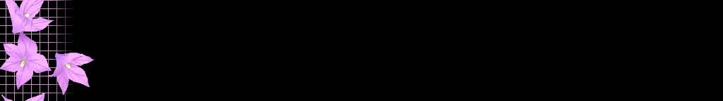 lozocat