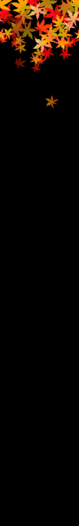 lozocat
