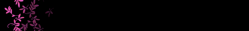 lozocat