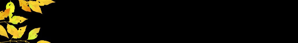 lozocat