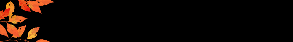 lozocat