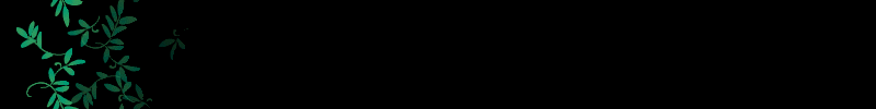lozocat