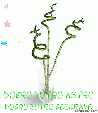 astrodita2.gif