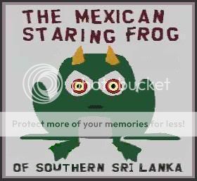 http://i194.photobucket.com/albums/z202/CopyDat/Mexican-Staring-Frog.jpg