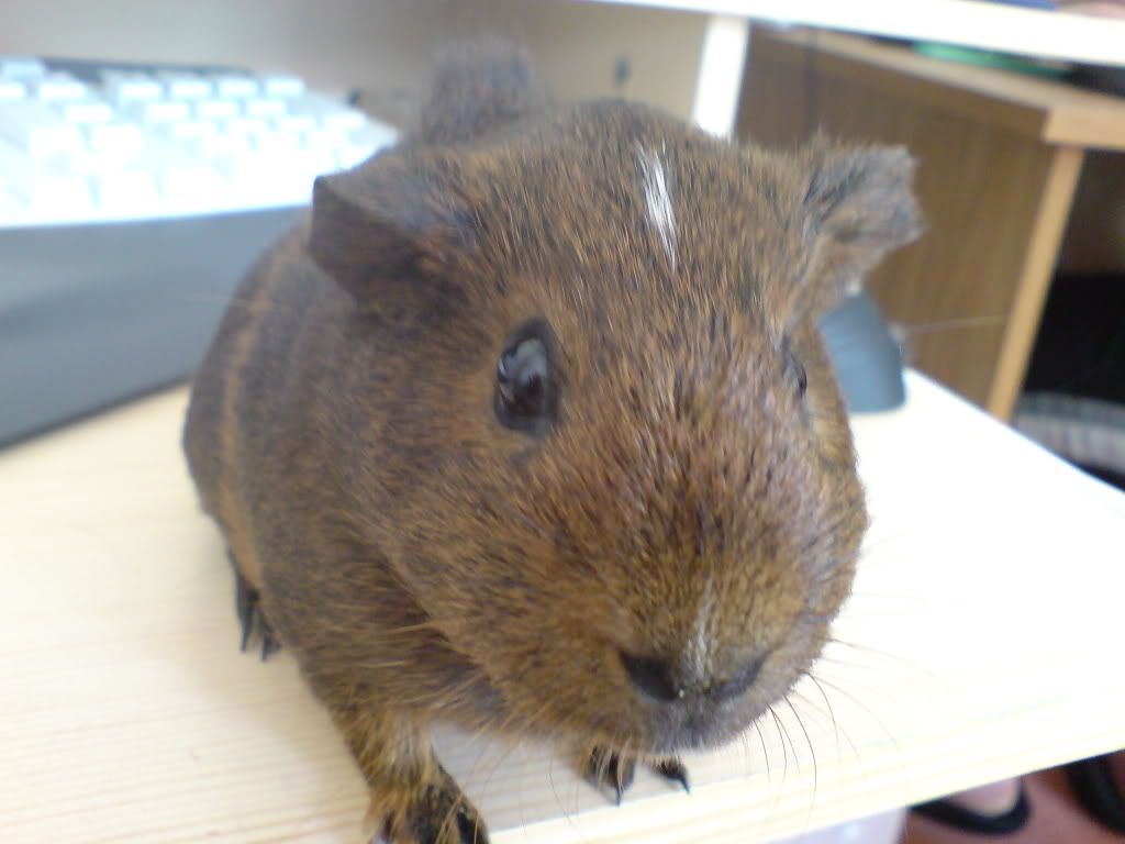 DSC00028.jpg